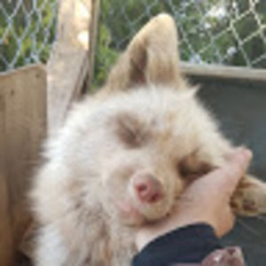 Meet your Posher, Mystra